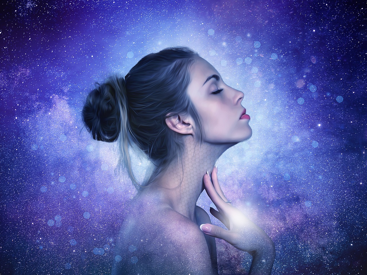 燮明星，璀璨之光，娱乐圈的耀眼之星
