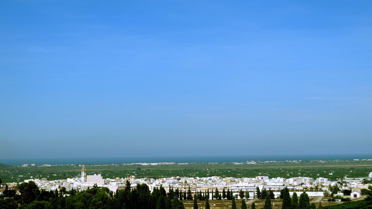 万良人参市场最新动态与走势分析，全面更新资讯资讯及市场观察